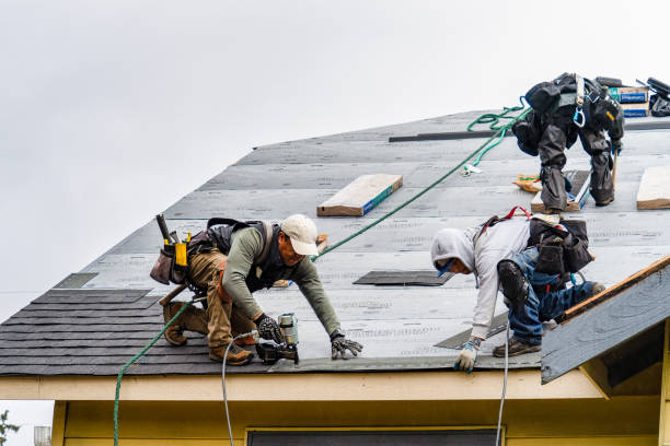 Professional Roof Replacement technician working in Branchport, NY